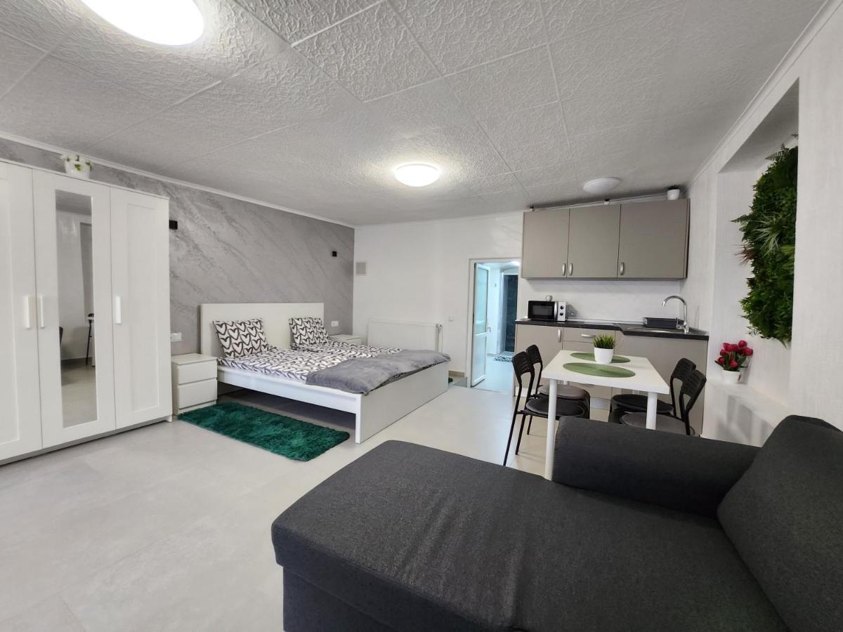 Apartament Dada Сігішоара Екстер'єр фото
