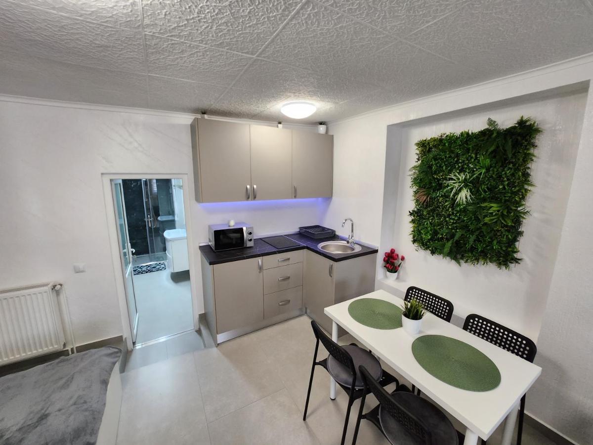 Apartament Dada Сігішоара Екстер'єр фото